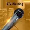 ShiLe SH-02 Wired Microphone for Meetings and KTV (CN version)