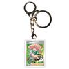 Anime Messa Keychains Kabu Friends in Galar Milo Bea Allister Opal Gordie Ptcg Diy Acrylic Action Toy Figures Game Collection