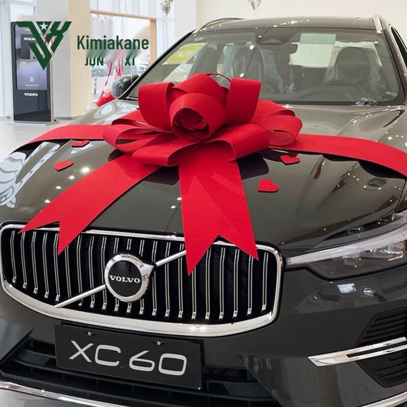 Большой celebratory бант для доставки автомобиля