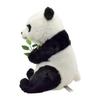 BH7475 HANSA Wielka Panda 26