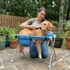 Breathable Mesh Folding Pet Grooming Hammock Stainless Steel Frame Escape-Proof Cat Nail Trimming Station with Pillow