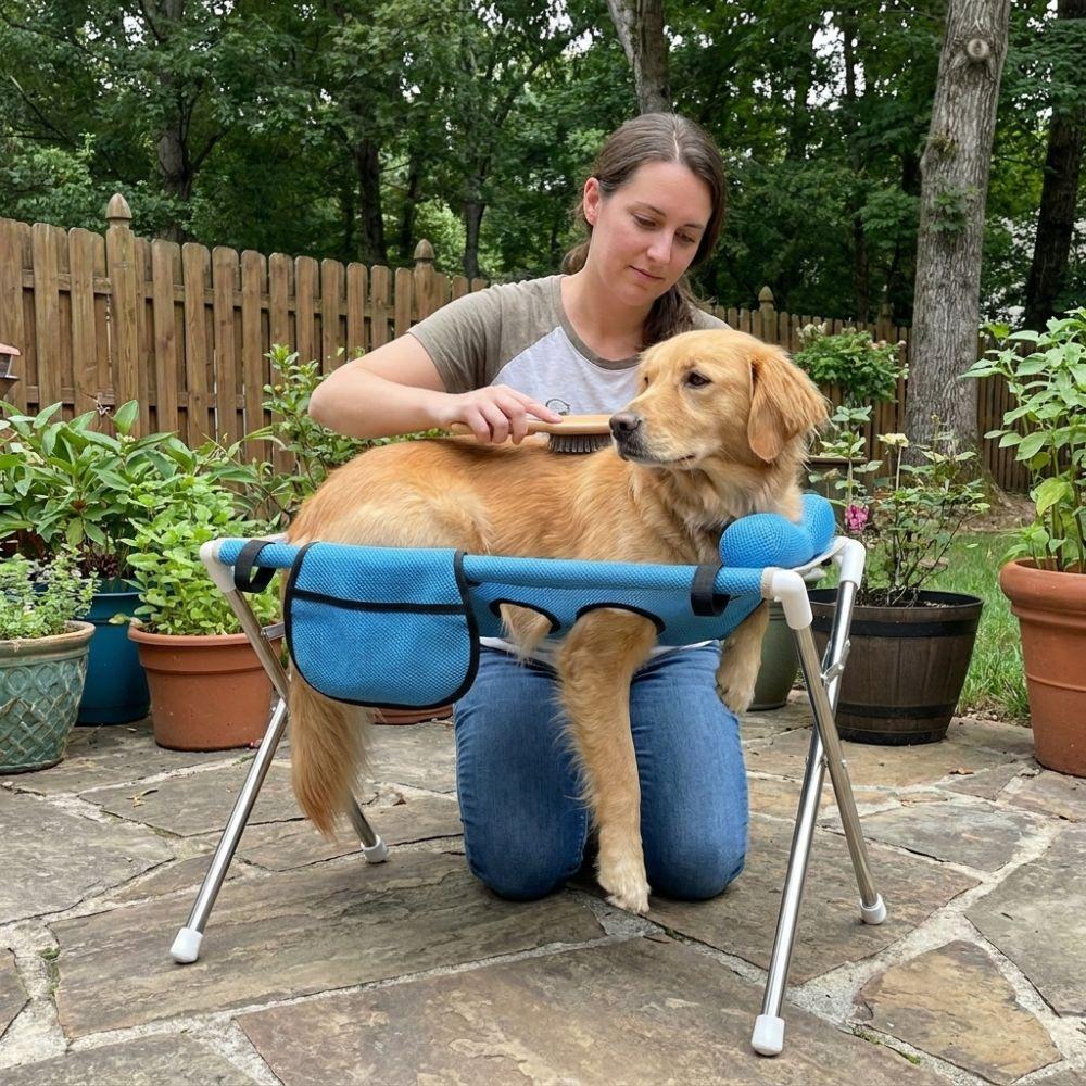 Breathable Mesh Folding Pet Grooming Hammock Stainless Steel Frame Escape-Proof Cat Nail Trimming Station with Pillow