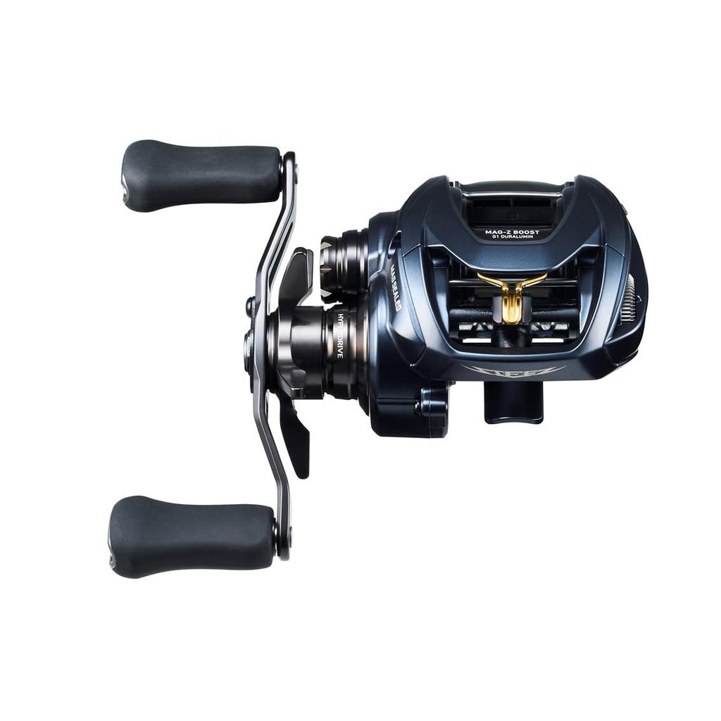 Daiwa Baitcasting Rolle STEEZ AII TW 1000H Modell 2022 (DAIWA)