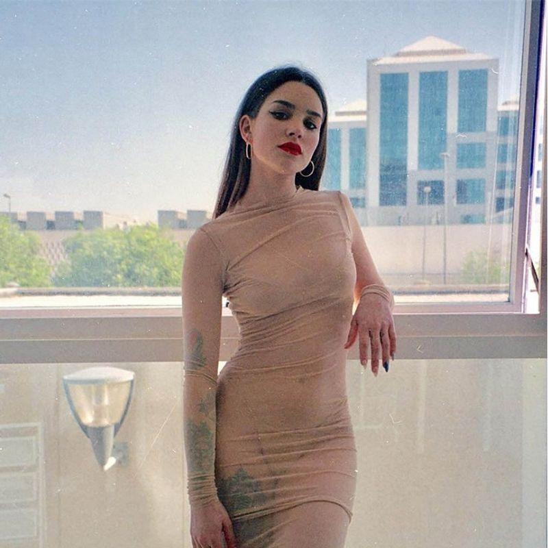 Fashion Style Ins Sexy Sheer Mesh Long Sleeves Hip Slimming Skirt Lightweight Home Dress