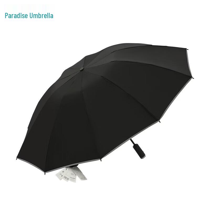 Paradise Fully Automatic 10-Rib All-Weather Umbrella