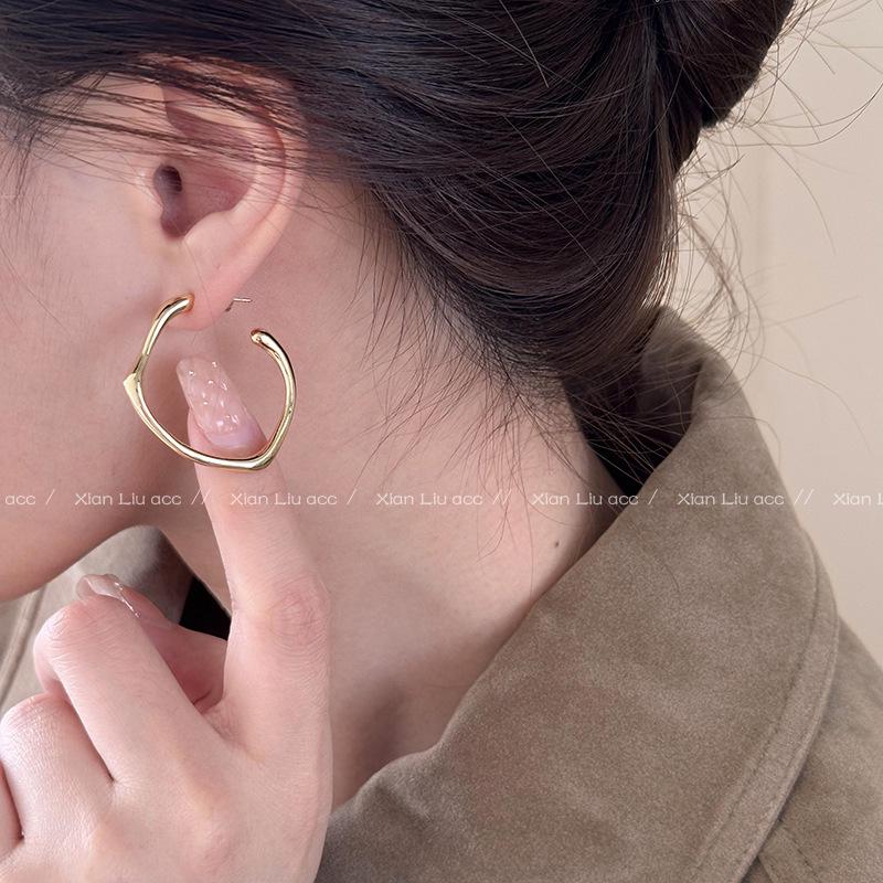 2025 High-End Light Luxury Metal Hoop Earrings - Unique Feminine Style