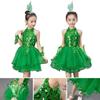 Vestito da Ballo Balletto Bambina Verde Paillettes con Copricapo Polsini Vestito Gonfio Bambine Ragazze