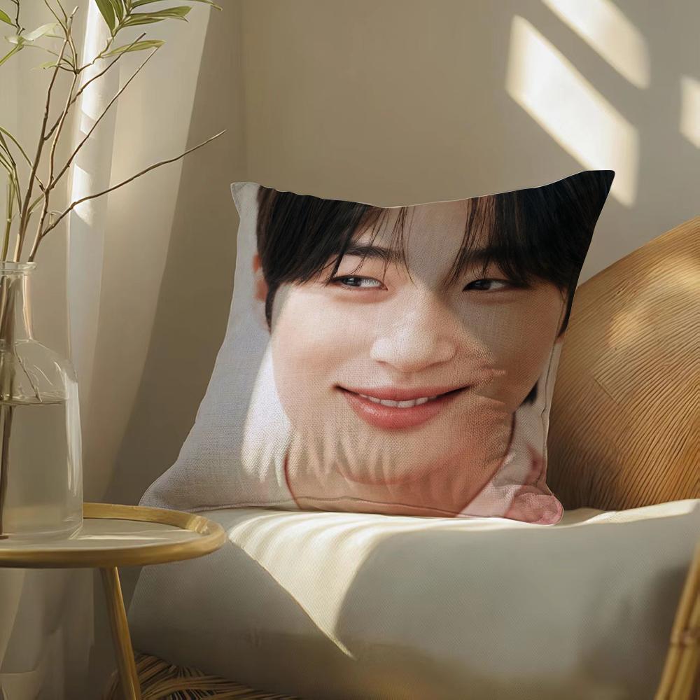 Byeonwoo-Seok Pillow Case Pillowcase, Double-Sided Printed, Sofa Cushion, Bedroom Headboard