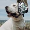 Dog Ear Muffs with Fast Snap Lock Pet Noise Reduction Cover Anti-Noise Dog Earmuffs for Thunder Hunting Tourism Cars Racing