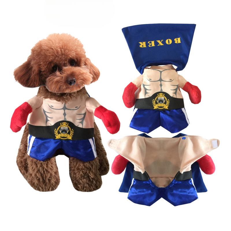 Big Tong, The Boxer, Transforms Into A Boxing Champion In A Dog Costume, A Standing Dog Costume, A Cat Costume, and A Funny Pet Costume