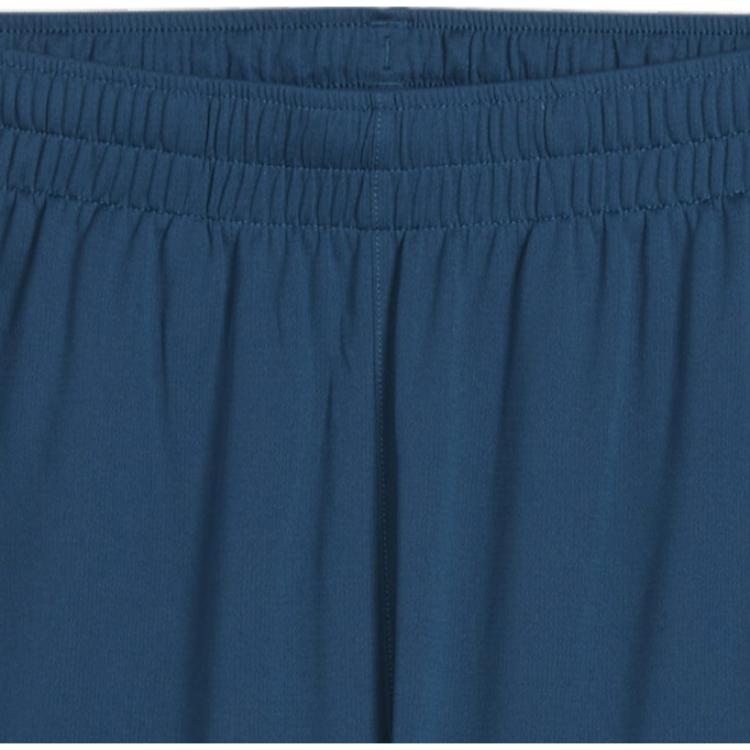 Puma Individual Final Printed Casual Training Mid-Rise Sports Shorts Men Shorts Blue 659019-56