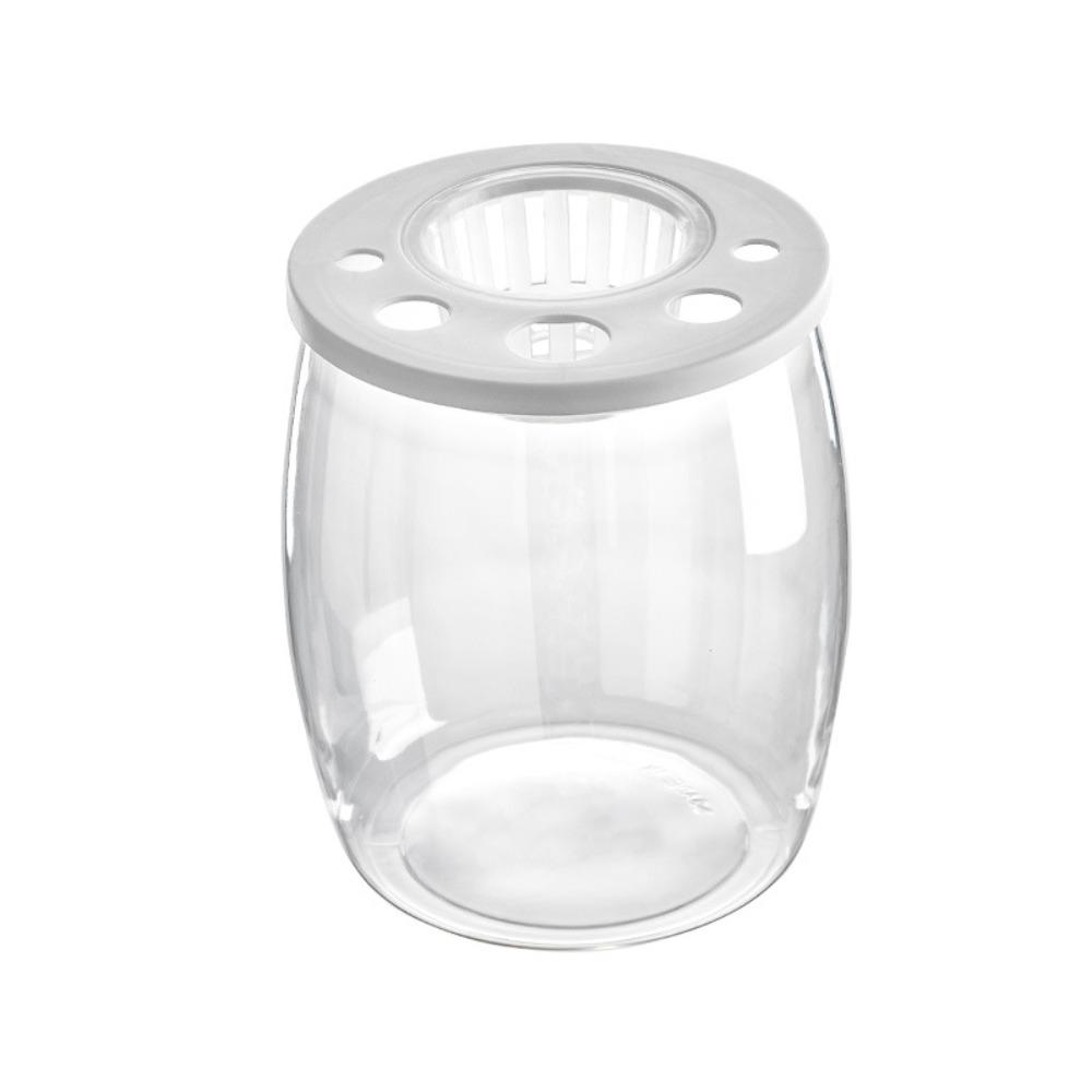 Plastic Turtle Aquarium Transparent Turtle Terrarium Small Clear Fish Tank  Aquarium Setup