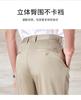 High-End Business Casual Pants for Spring and Summer