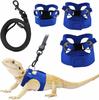 Bearded Dragon Adjustable Leather Harness & Leash Set