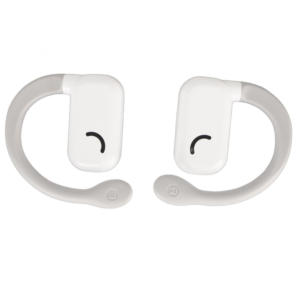 Language Translator Earbuds 74 Languages 70 Accents 0.2s for Music Call Wireless Translator Device with APP for IOS for