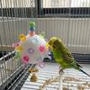 Detachable Bird Cage Toy with Bell Parrots Chew Swing Funny Hanging Foraging Ball  Beak Exercise