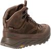 Обувь для треккинга Jack Wolfskin Terraquest Texapore Mid (4056381) bear