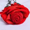 Red Velvet Rose Flower Ring Box Creative Jewelry Display Box  Valentine's Day Gift