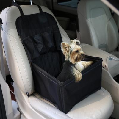 Transporte e armazenamento – Transporte de animais