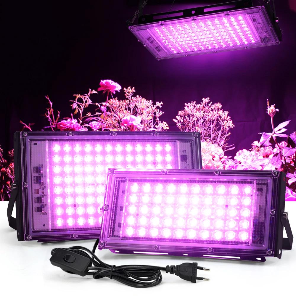 500W Full Spectrum LED Grow Light for Seedlings and Plants