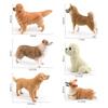 Simulation Animal Dog 6 Models Golden Retriever Teddy Shepherd Shiba Inu Corgi Pet Famous Dog Ornament Toy