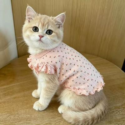 Giyim ve ayakkabı – Köpekler için yelekler ve gömlekler