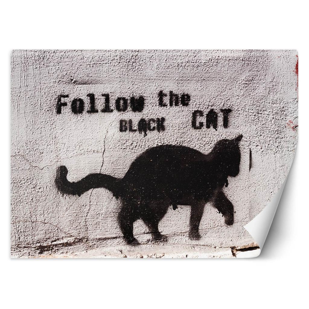 Wallpaper Banksy Graffiti Black Cat