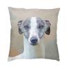 Italian Greyhound Cushion Covers 45x45cm Velvet Whippet Sihthound Dog Throw Pillow Case for Sofa Square Pillowcase Home Decor