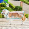 Medium Transparent Rain Poncho for Dogs - Large Dog Raincoat
