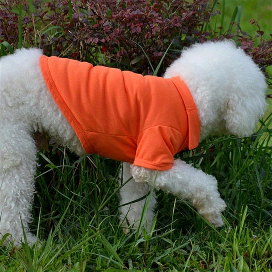 Fashion Dog Clothes for Teddy Small Dogs, Spring Summer Autumn Vest T-shirt Polo Shirt  Cute Dog Clothes for Small Breeds, Cotto