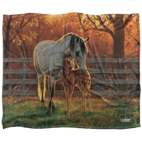 Wild Wings Silky Mother And Child Supersoft Blanket