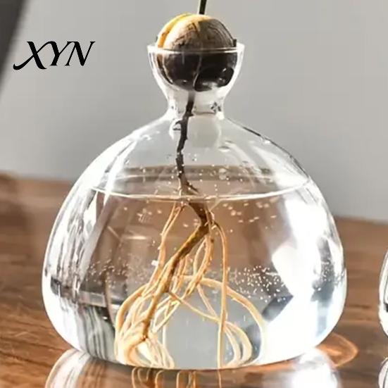 Pflanzenhalter aus Glas Hydroponik-Pflanzen Vase, Transparentes Vermehrungsterrarium, Schreibtisch Dekorative Klare Topf Pflanzgefäß für Zuhause Büro Tischmittelstück