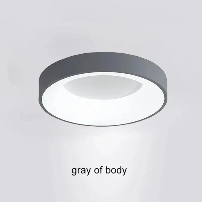 

Светодиодный потолочный светильник 30/40/50 м, освещение спальни, лампа с дистанционным управлением, круглый светильник для гостиной, столовой, домашнего декора, лампы Lustre Warm white-No RC&30CM серый