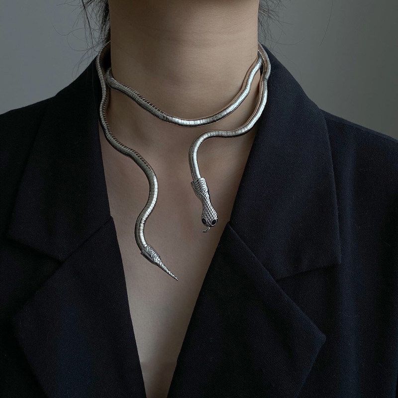 Winding Snake-Shaped Stylish Dark Soil Coocaa Mouth Random Shape Snake-Shaped Exaggerated Fashion Stylish Necklace Collar Silver