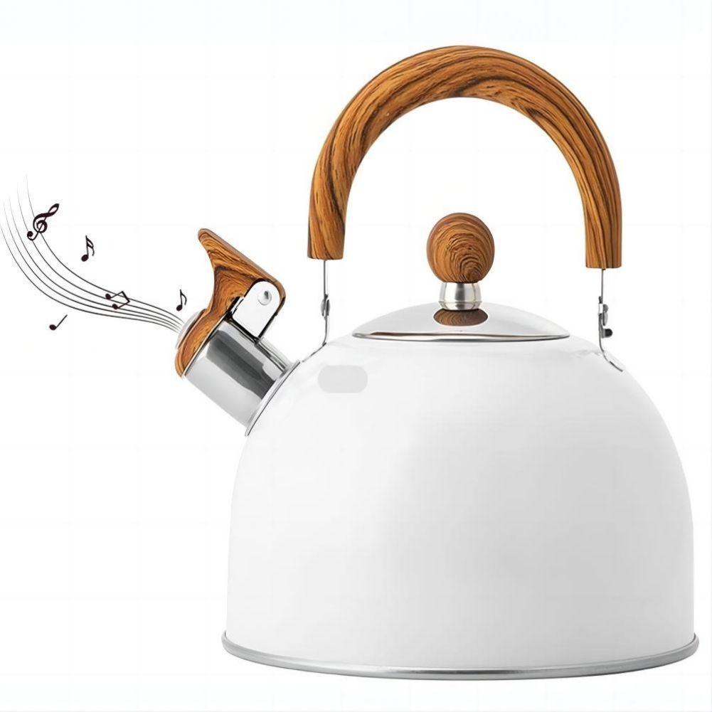 2.5 L Whistling Kettle for Induction Stove Gas Stove Wood Stoves Gas Camp