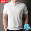 Herren Eisseide Kurzarm Poloshirt