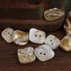 10pcs/set Irregular Shape Natural Shell Buttons with Two Holes for DIY, Clothing Accessories, Etc