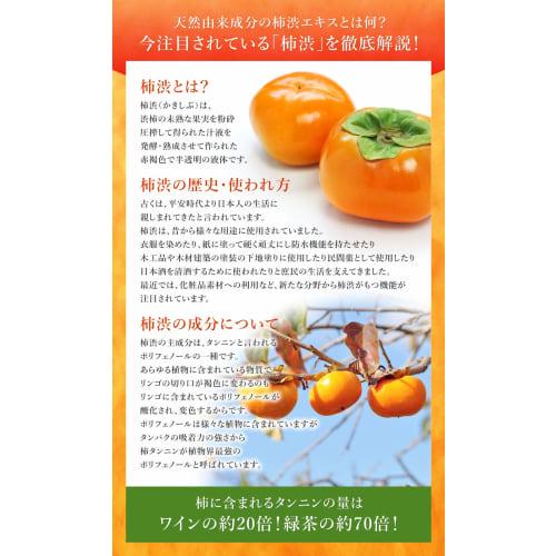 Kumano Yushi Seasonal Medicated Persimmon Shibu Rinse-in Shampoo Main Unit & Refill 1 Set