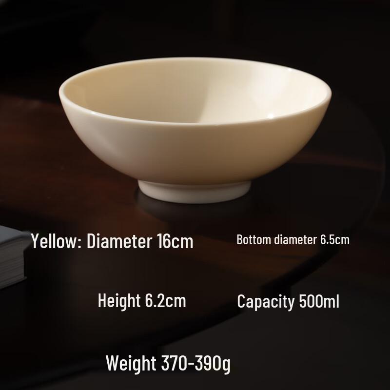 GOYN 500ml Ceramic Noodle & Salad Bowl