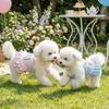 Korean Sweet Dog Princess Dress Lace Strap Dog Puff Skirt Pet Lace Dress  Outdoors Activities