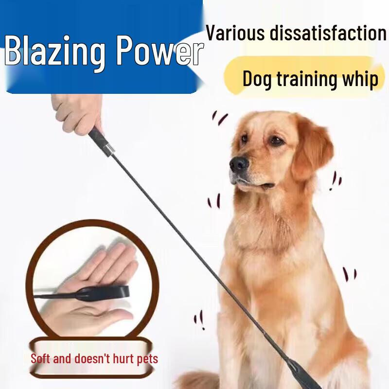 Professional Dog Training Equipment