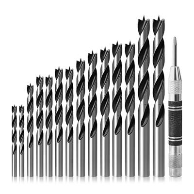 HSS Spiralbohrer-Set mit zwei Schneiden und Zentrierspitze für saubere Holzbohrungen in Größen von 3-12 mm