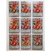 Used Slam Dunk Star Member Collection Vol. 2 Carddass SLAMDUNK
