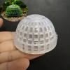 Moss Hemisphere Colonization Ball Aquarium Shrimp Fish Tank Moss Balls Holder Freshwater Live Plants Shaping Ball with Filter Stone