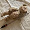 [USED] Vintage Teddy Bear