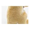 Kangaroo No3424