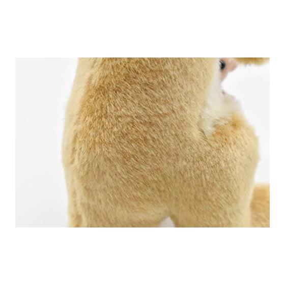 Kangaroo No3424