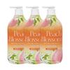 Peach Blossom Body Wash 900g X3