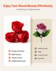 Forever Flowers, 50 konservierte Rosen in einer Herzform-Box, Ewige Blumen Unsterbliches Bouquet Geburtstagsgeschenk zur Lieferung Prime Frauen Ihr Ehefrau Mütter,