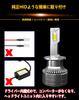 WENLE Newly Developed Shared LED Headlight Bulb Compatible with New Vehicle Inspection Optical Axis Adjustable Canceller White 6500K 35W Genuine HID